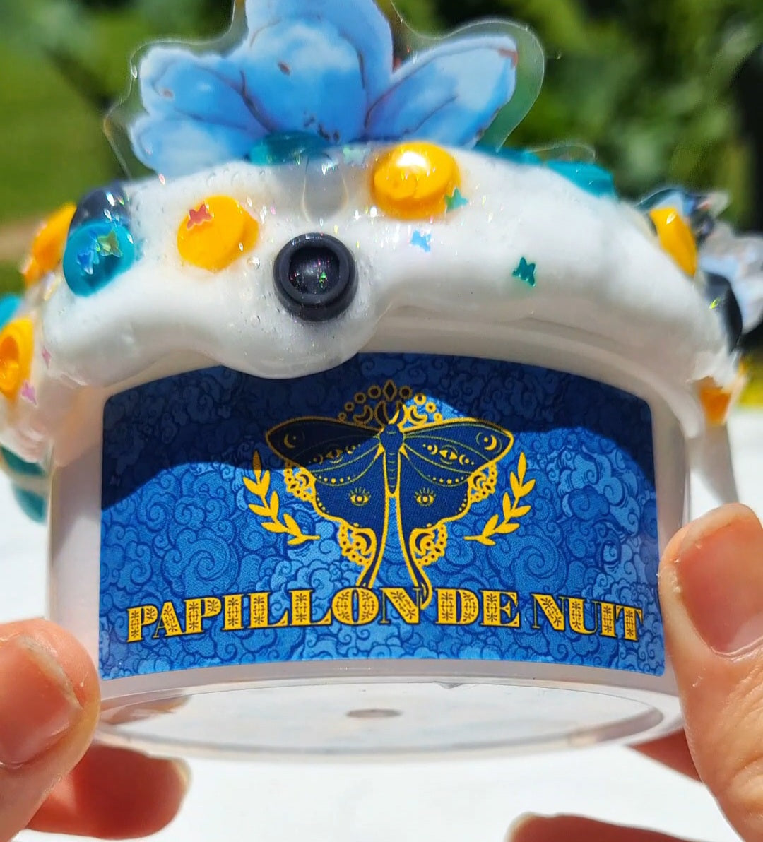 Papillon de Nuit