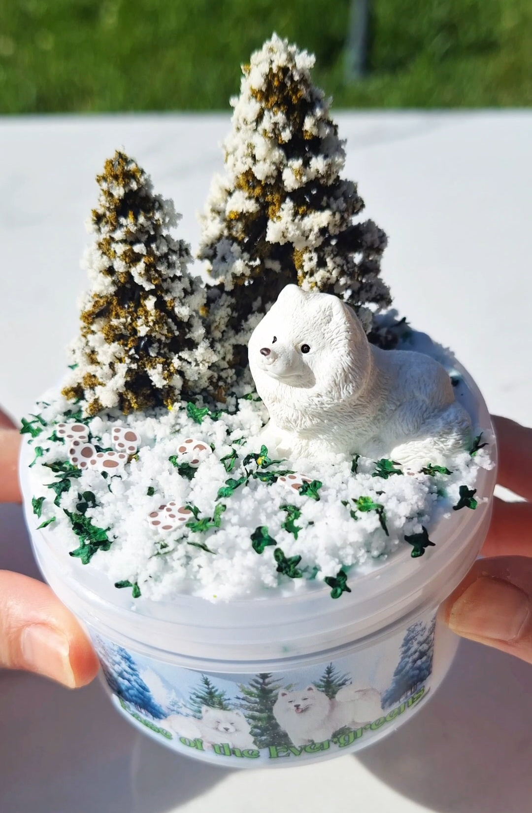 Ease of the Evergreens